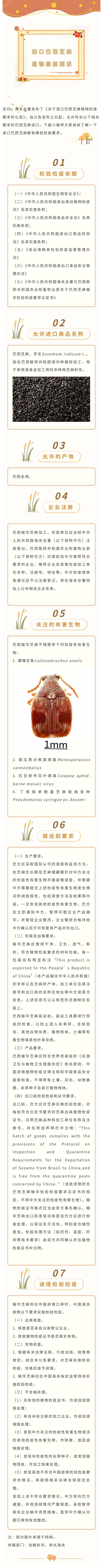 巴西芝麻进口.jpg