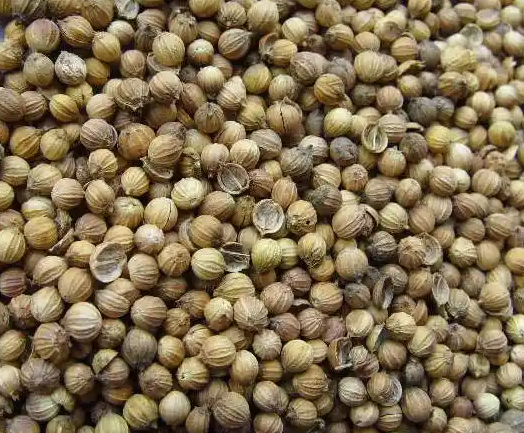 香菜籽的进口清关流程及所需资料