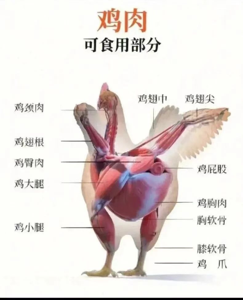 鸡肉4.jpg