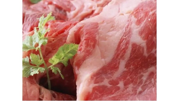 巴西冷冻猪肉蛇口食品清关公司报检操作